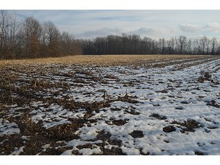 Property photo 34 - FARMLAND AUCTION, 60+/- Acres in 6 Tracts ranging from 4 to 20 acres & in combinations!